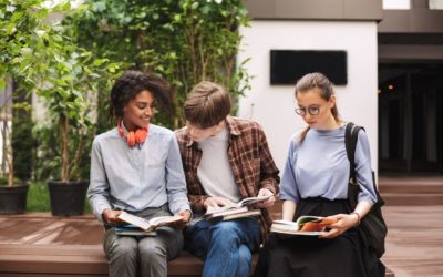 Курс “Сам себе бровист”